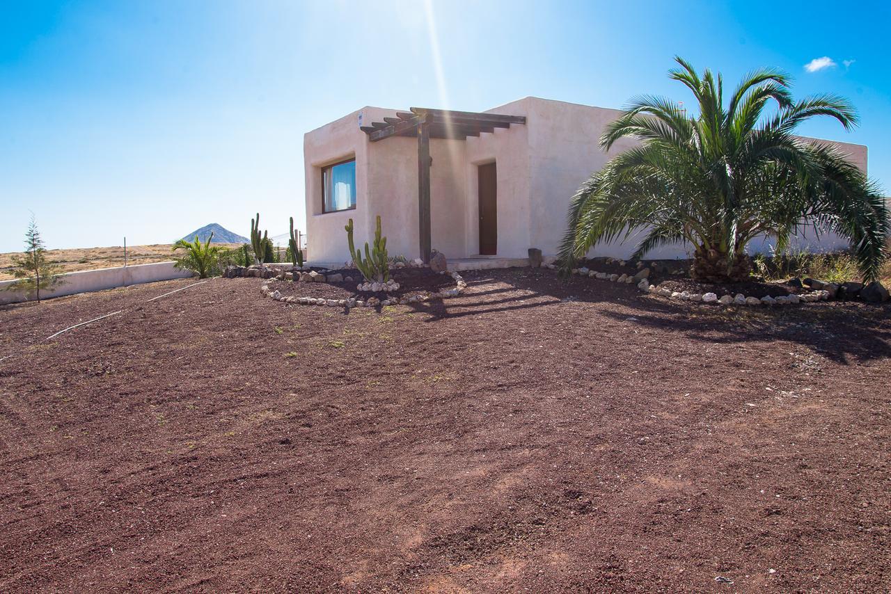 Villa Upupa لا أوليفا المظهر الخارجي الصورة
